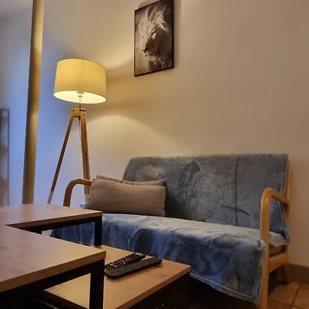 Appartement T1 Renove 28m2 Cosy Confort ! Anzin