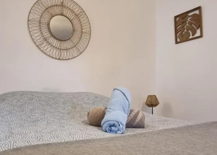 Appartement T1 rénové 28m2 Cosy Confort !