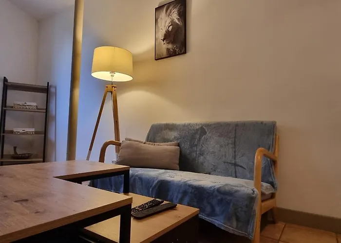 Appartement T1 rénové 28m2 Cosy Confort ! Anzin