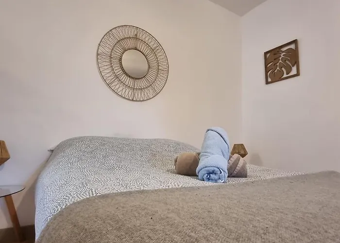 T1 rénové 28m2 Cosy Confort ! *