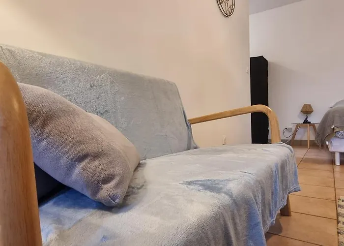 Appartement T1 rénové 28m2 Cosy Confort !